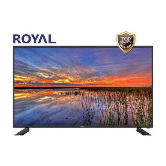 royal 55 smart (1)