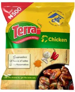 BA-PHC- TERRA CHICKEN SEASONING 100 CUBES- 400G